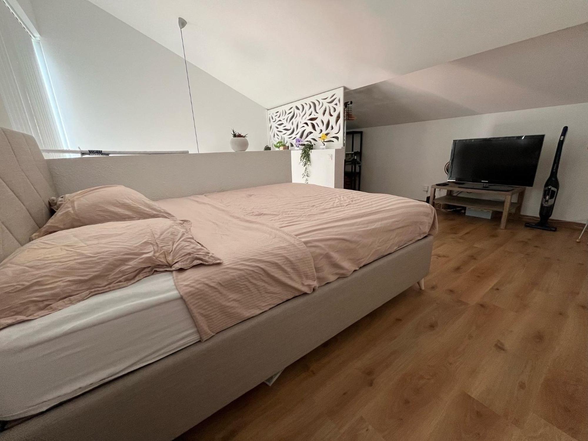 Duplex Bordeaux - Place De Parking Privee - Tram *